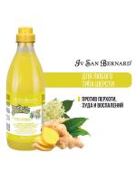 ISB Fruit of the Groomer Ginger&Elderbery Шампунь для любого типа шерсти против раздражений и перхоти 1 л фото в интернет-магазине SHOP-GROOM.ru