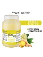 ISB Fruit of the Groomer Ginger&Elderbery Восстанавливающая маска с противовоспалительным эффектом 3 л фото в интернет-магазине SHOP-GROOM.ru