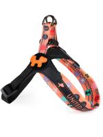 Шлейка United Pets для собак Complete me Forever 1,5 x 34-42 см, оранжевая с рисунком фото в интернет-магазине SHOP-GROOM.ru