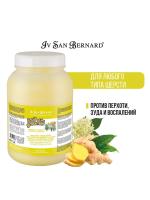 ISB Fruit of the Groomer Ginger&Elderbery Шампунь для любого типа шерсти против раздражений и перхоти 3,25 л фото в интернет-магазине SHOP-GROOM.ru