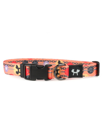 Ошейник United Pets для собак Complete me Forever S 26-40/1,6 см, оранжевый с рисунком фото в интернет-магазине SHOP-GROOM.ru