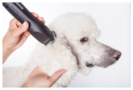 Машинка Moser Max50 фото в интернет-магазине SHOP-GROOM.ru